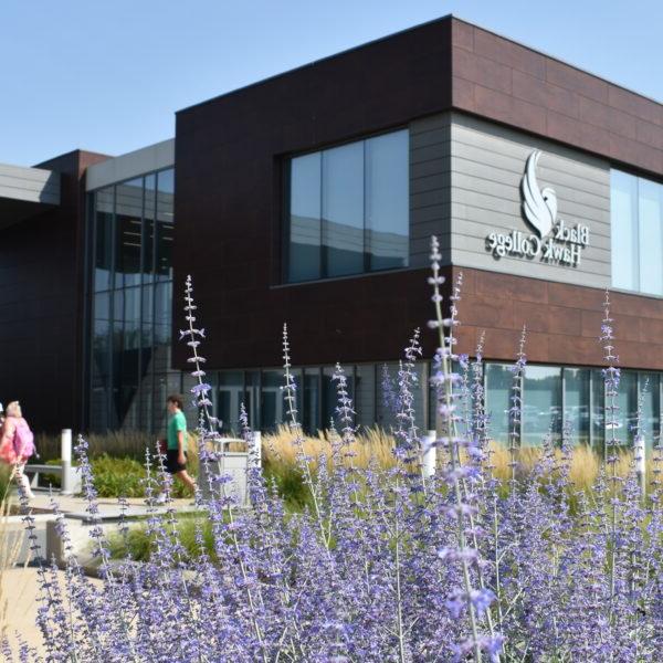 a building with purple flowers in front of it